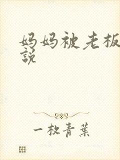 妈妈被老板操小说