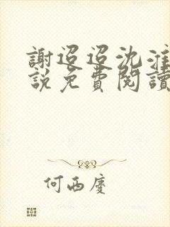 谢迢迢沈淮叙小说免费阅读