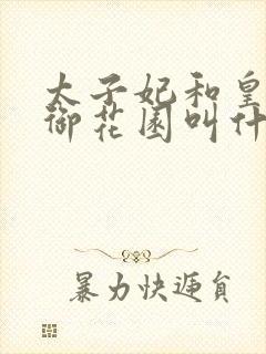 太子妃和皇帝在御花园叫什么小说封面