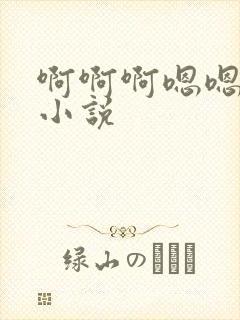 啊啊啊嗯嗯嗯的小说