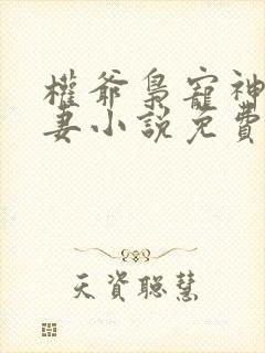 权爷枭宠神秘娇妻小说免费阅读