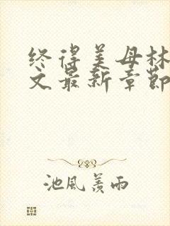 终得美母林渊全文最新章节阅读