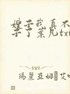 嫂子我真不是傻子了叶凡txt下载