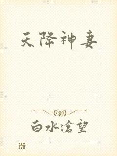 天降神妻