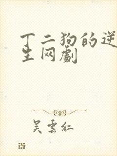 丁二狗的逆袭人生网剧