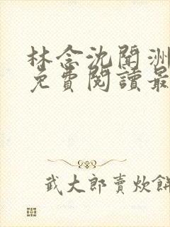林念沈闻洲全文免费阅读最新章节