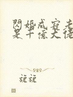 闪婚成宠老公竟是千亿大佬小说封面