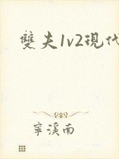 双夫1v2现代