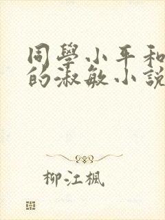 同学小平和妈妈的淑敏小说免费阅读