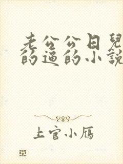 老公公日儿媳妇的逼的小说封面