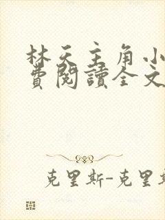 林天主角小说免费阅读全文