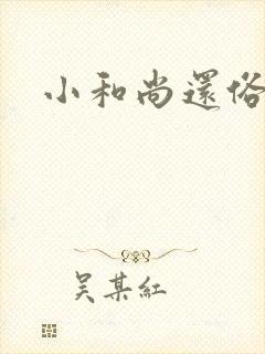 小和尚还俗记封面