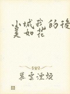 小城我的后妈貌美如花封面
