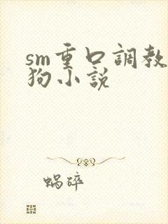 sm重口调教母狗小说