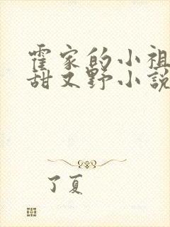 霍家的小祖宗又甜又野小说