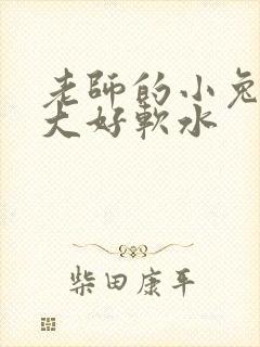 老师的小兔子好大好软水