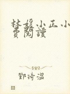 林媛小正小说免费阅读