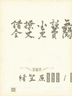 错撩小说无弹窗全文免费阅读