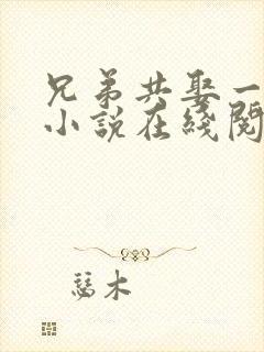 兄弟共娶一妻的小说在线阅读