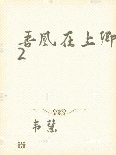 吾凰在上卿在下2