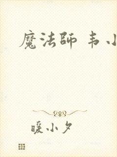 魔法师 韦小宝