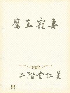 鹰王宠妻