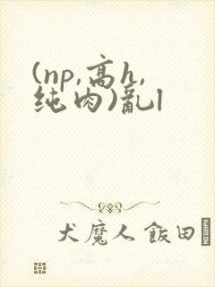 (np,高h,纯肉)乱l