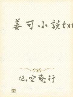 姜可小说txt