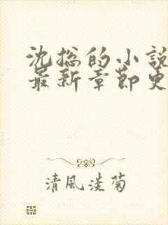 沈总的小说全文最新章节更新