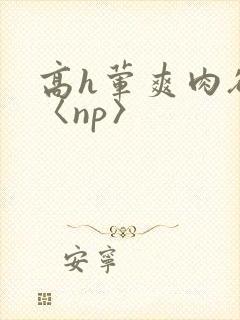 高h荤爽肉欲文〈np〉