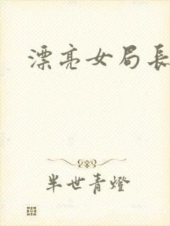 漂亮女局长封面