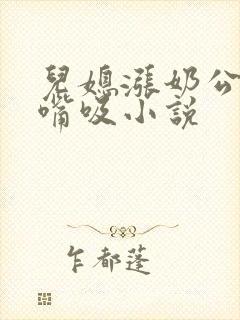 儿媳涨奶公公用嘴吸小说封面