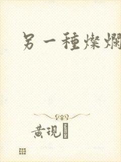另一种灿烂生活