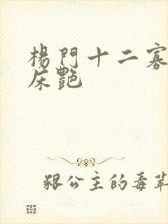 杨门十二寡妇肉床艳