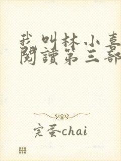 我叫林小喜全文阅读第三部封面