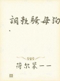 调教骚母狗小说.