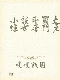 小说斗罗大陆2绝世唐门免费阅读全文作者封面