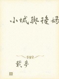 小城与后妈封面
