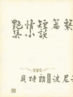 艳情短篇系列合集小说封面