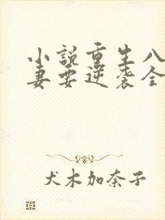 小说重生八零傻妻要逆袭全文