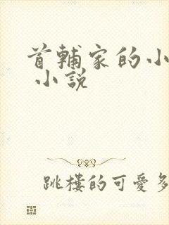 首辅家的小悍妻 小说