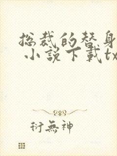 总裁的替身前妻 小说下载txt