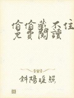 偷偷藏不住小说免费阅读