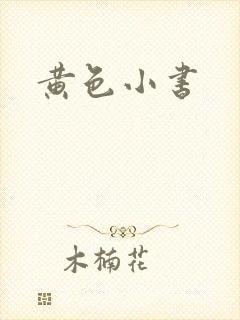 黄色小书封面
