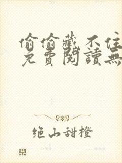 偷偷藏不住全文免费阅读无删减