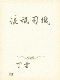 流氓司机
