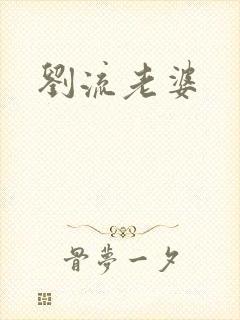 刘流老婆封面