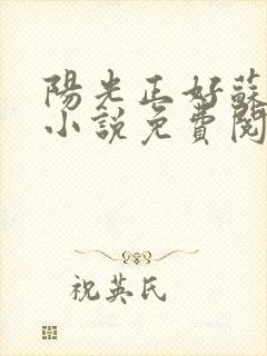 阳光正好苏玥玥小说免费阅读无弹窗封面