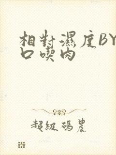 相对湿度BY大口吃肉