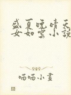 盛夏晚晴天之美女如云小说